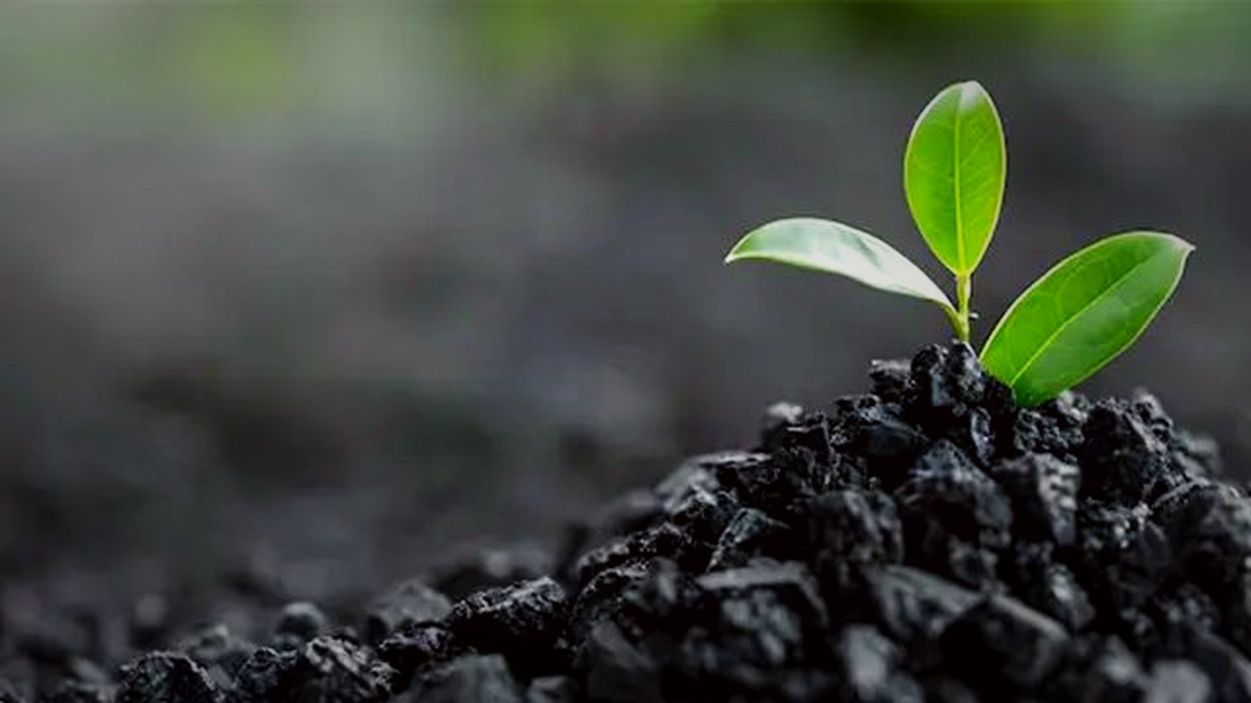 Agriculture